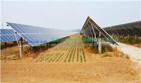 農(nóng)光互補(bǔ)光伏發(fā)電 農(nóng)光互補(bǔ)光伏發(fā)電