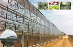 光伏農業大棚項目