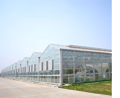 信義農業生態園230KW光伏農業大棚