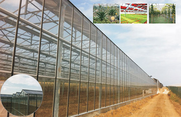 光伏農業大棚項目