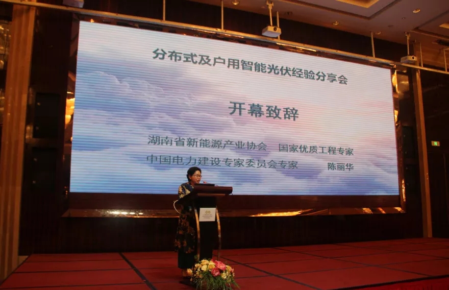 湖南省新能源產業協會秘書長陳麗華.webp.jpg 湖南省新能源產業協會秘書長陳麗華.webp.jpg