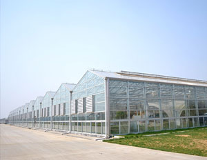 敏華農業生態園230KW光伏農業大棚項目